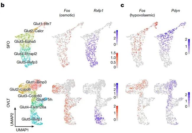 南開大學(xué)美女本科生發(fā)表Nature論文，將赴加州理工學(xué)院深造