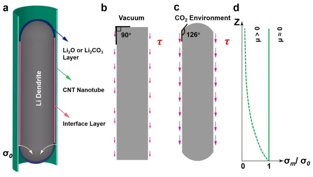 三通訊單位聯(lián)發(fā)Nano Lett.: 鋰沉積誘導的碳納米管斷裂及其對固態(tài)電池的影響