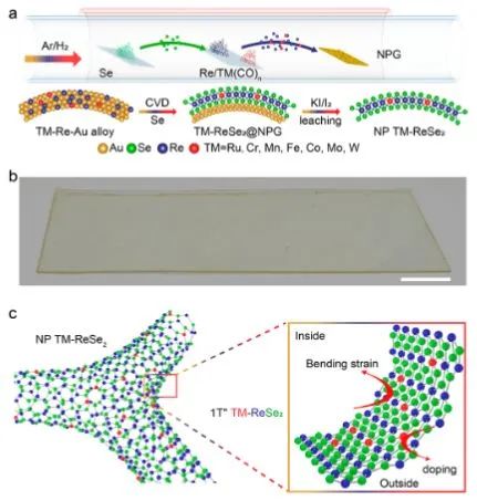 湖大譚勇文?Nano Letters：表面鈷合金策略起大作用，實(shí)現(xiàn)納米多孔1T" ReSe2與TM可擴(kuò)展原位摻雜