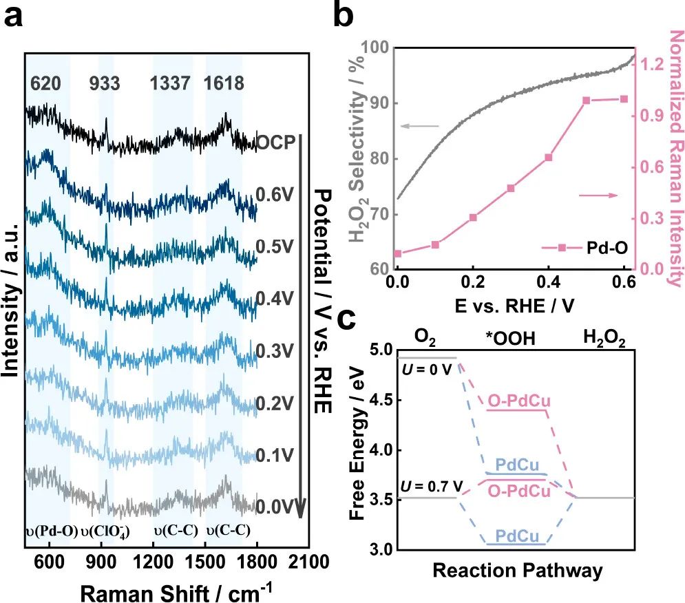 催化頂刊合集：Nature子刊、EES、ACS Catalysis、ACS Nano、Small、CEJ等成果！