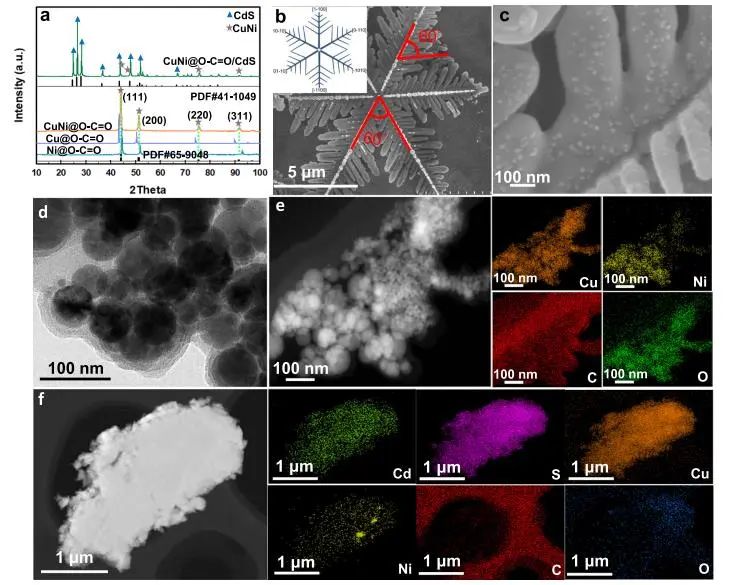 催化頂刊集錦：Nature子刊、JACS、Angew.、AFM、Nano Letters、ACS Catal.等成果