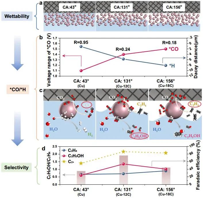 鞏金龍教授Nature子刊：界面潤(rùn)濕性可控助力CO2電還原制乙醇和乙烯