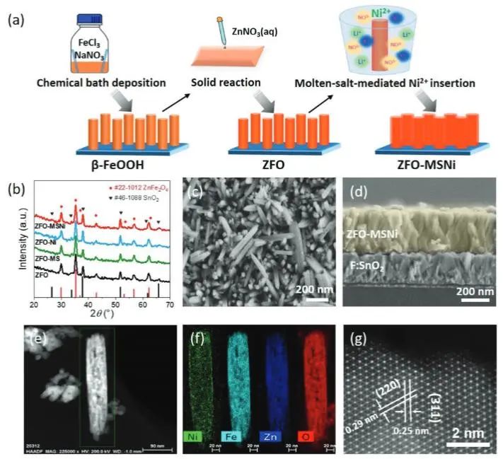 鮑駿/朱曉娣Adv. Sci.：ZnFe2O4上構建Ni?Fe雙活性中心，高效促進光電化學水氧化