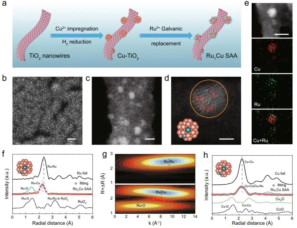 譚勇文/詹丁山Nature子刊：Ru1Cu SAA催化CO和亞硝酸鹽高效合成甲酰胺