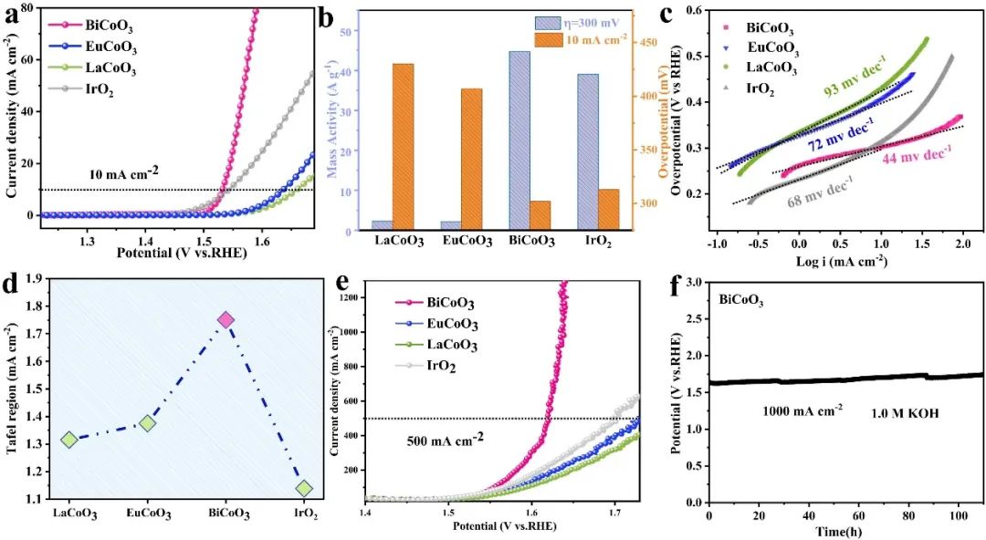 催化頂刊合集：JACS、Angew.、AFM、Small、Appl. Catal. B、JEC等成果