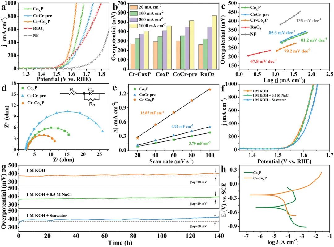 催化頂刊合集：JACS、Angew.、AFM、Small、Appl. Catal. B、JEC等成果