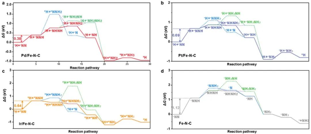 Angew.：通過調節(jié)局部氫自由基的活性實現(xiàn)電催化活化/還原N2分子