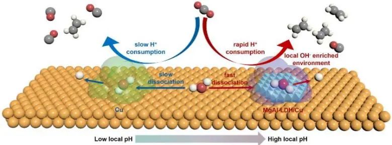 楊化桂/劉鵬飛Angew.：單層MgAl LDH調(diào)節(jié)反應(yīng)微環(huán)境，促進(jìn)中性介質(zhì)CO2電還原為乙烯
