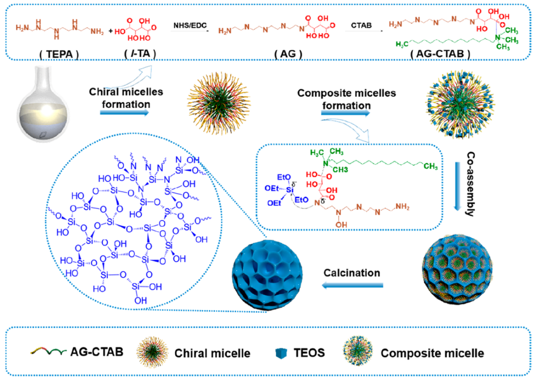 趙東元院士，最新JACS！