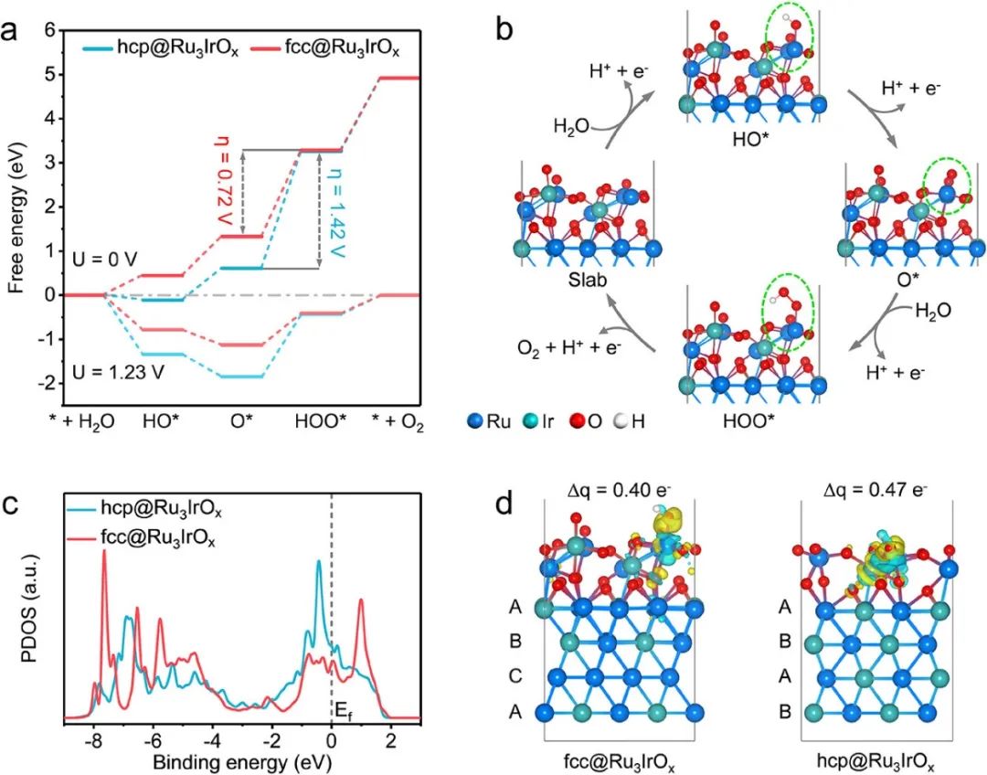 催化頂刊集錦：Nature子刊、JACS、ACS Catalysis、AEM、JMCA等成果！