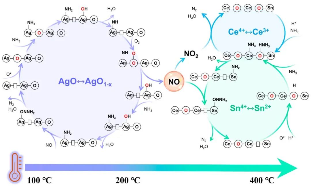 【計算+實驗】頂刊集錦：Angew、AM、AFM、Small、ACS Catalysis等成果精選