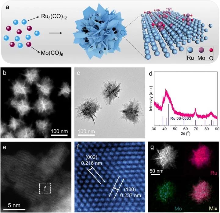 6篇Nature/Science子刊、4篇AM、3篇EES、3篇AFM等，黃小青團(tuán)隊(duì)2022年成果精選！