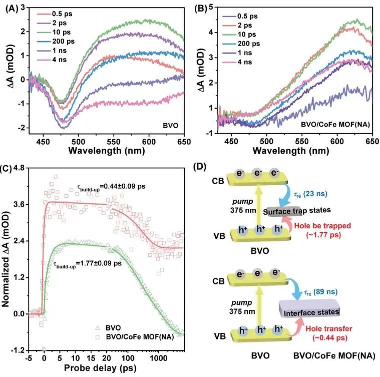 催化頂刊集錦：JACS、Nat. Commun.、AFM、ACS Catal.、Adv. Sci.、Small等