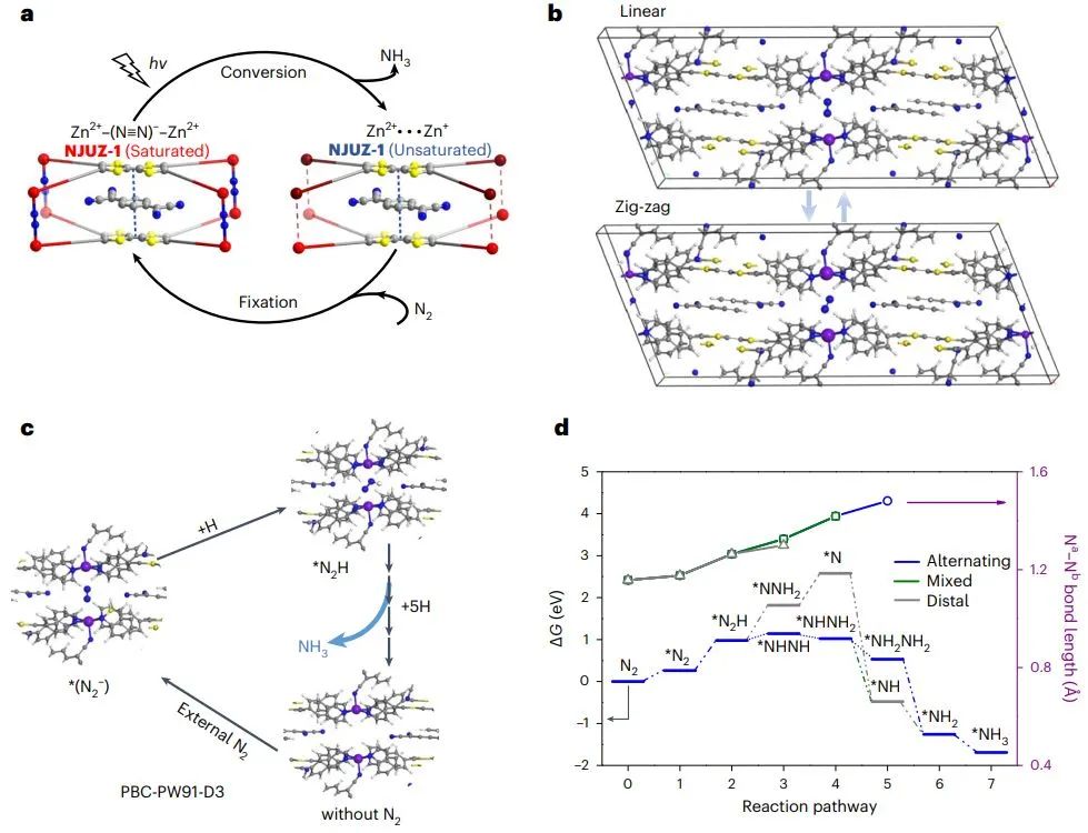 頂刊集錦：Nat. Chem.、AEM、AFM、ACS Catalysis、Small、ACB等計算成果