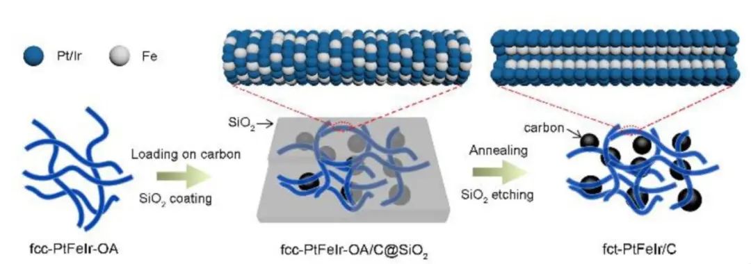 8篇催化頂刊：Angew.、Small、Nano-Micro Lett.、Appl. Catal. B.等成果