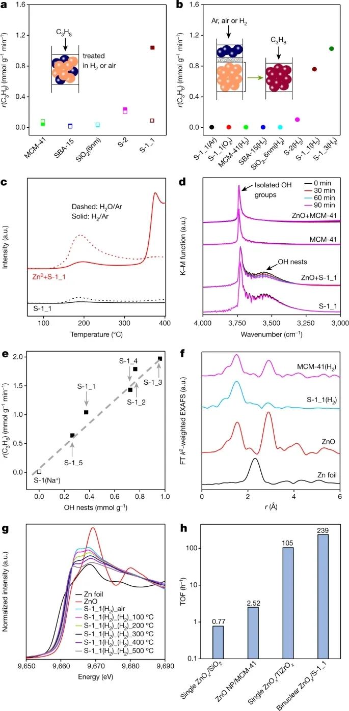 中國石油大學最新Nature！