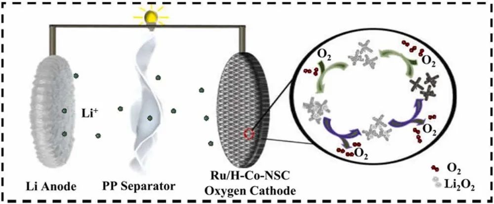 施志聰/邵敏華Nano Energy：3D六角形Co-ZIFs-S衍生的Co NPs作為可在充電鋰-氧電池的高效催化劑