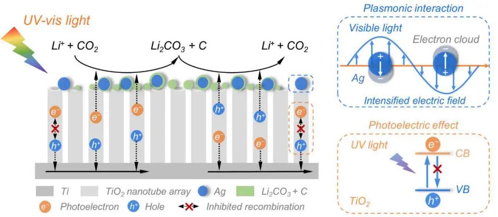 復(fù)旦彭慧勝/王兵杰Angew: 光電效應(yīng)+等離激元協(xié)同提高Li-CO2電池性能
