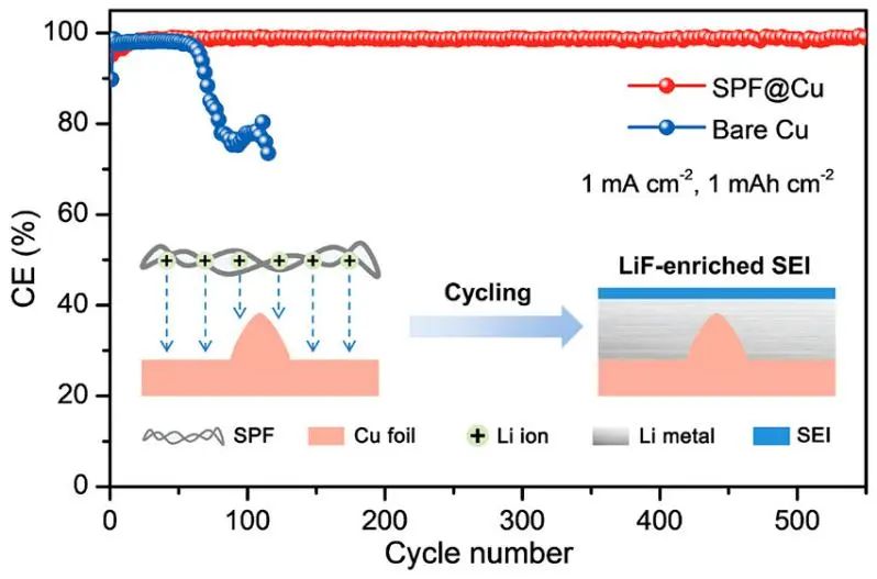 浙工大陶新永Nano Letters：穩(wěn)定鋰金屬電池的基于大豆蛋白纖維的人工SEI