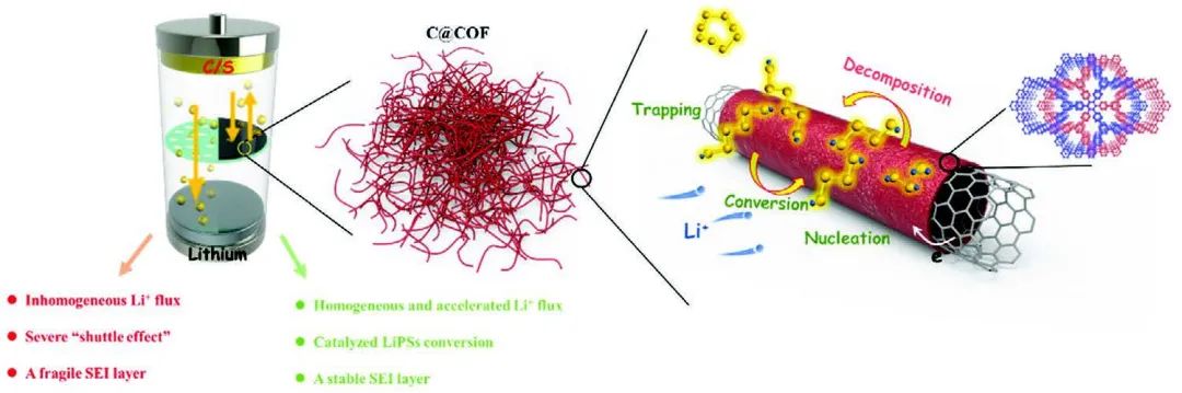 Small：離子選擇性COF促進(jìn)多硫化物催化轉(zhuǎn)化和Li+傳輸！