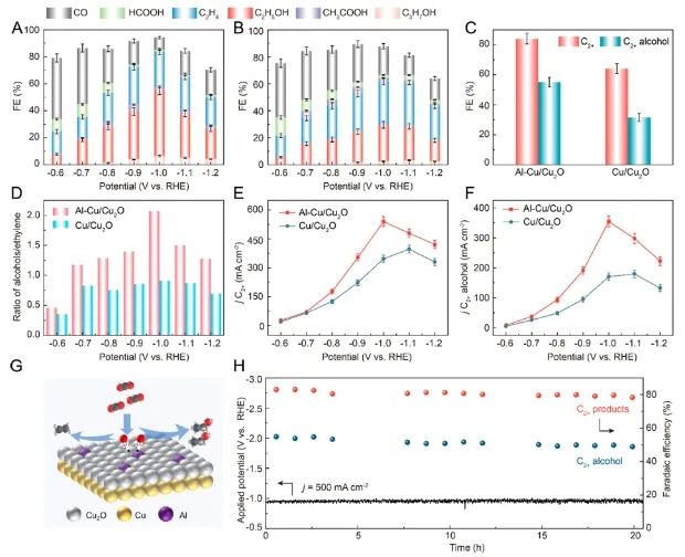 催化頂刊集錦：Angew、JACS、Nature子刊、AFM、ACS Catal.、Adv. Sci.等成果