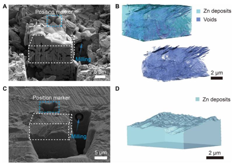 浙大陸盈盈Science Advances：動態(tài)界面介導(dǎo)金屬沉積，助力深度循環(huán)金屬電池