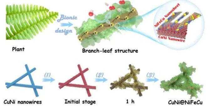 北化工程道建Appl. Catal. B.: 枝葉狀CuNi@NiFeCu納米枝晶用于高效電催化全分解水