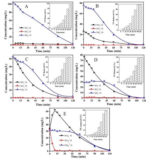 趙旭Appl. Catal. B.: 陰極表面還原性Fe(II)-Fe(III)氫氧化物輔助增強(qiáng)電催化硝酸鹽選擇性轉(zhuǎn)化為N2