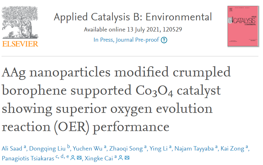 深大Appl. Catal. B.：Ag納米粒子修飾硼烯負(fù)載Co3O4催化劑助力OER