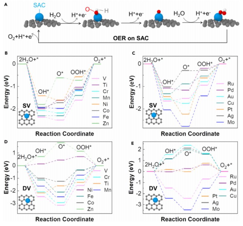 這本新子刊，會(huì)成為Nature Communications，還是Scientific Reports?