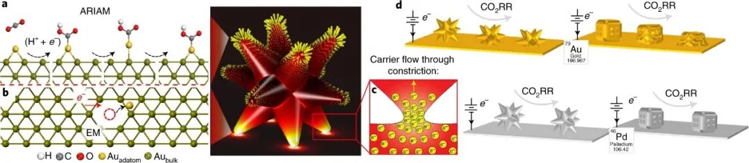 最新Nature Catalysis：探究電催化劑的結(jié)構(gòu)轉(zhuǎn)變