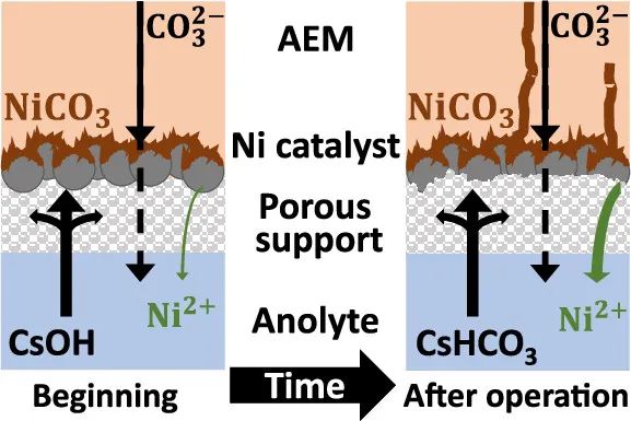 ACS Energy Lett.：局部化學(xué)環(huán)境控制CO2電解槽中的陽(yáng)極過(guò)程