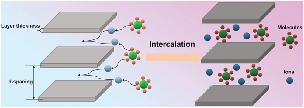 夏永姚/陸洪彬/賓端AFM：用于電化學(xué)儲能和電催化的層狀化合物的插層調(diào)控