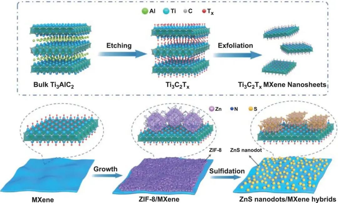 徐斌/劉歡NML：MOF衍生的ZnS納米點(diǎn)/MXene雜化物可提升鋰存儲(chǔ)性能
