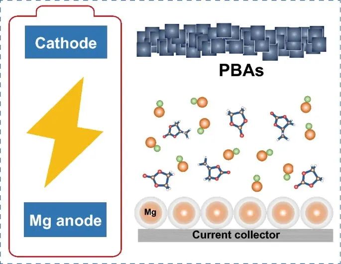 浙大姜銀珠NML：碳酸鹽電解液中的溶劑化/表面協(xié)同策略實現(xiàn)可逆鎂金屬負(fù)極