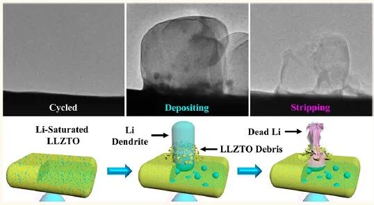 燕大ACS Nano：固態(tài)鋰金屬電池中鋰穿透固態(tài)電解質(zhì)和死鋰動力學(xué)的原位可視化