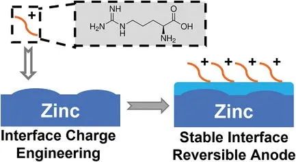 電池頂刊集錦：EES、AEM、AFM、Adv. Sci.、EnSM、Small等最新成果