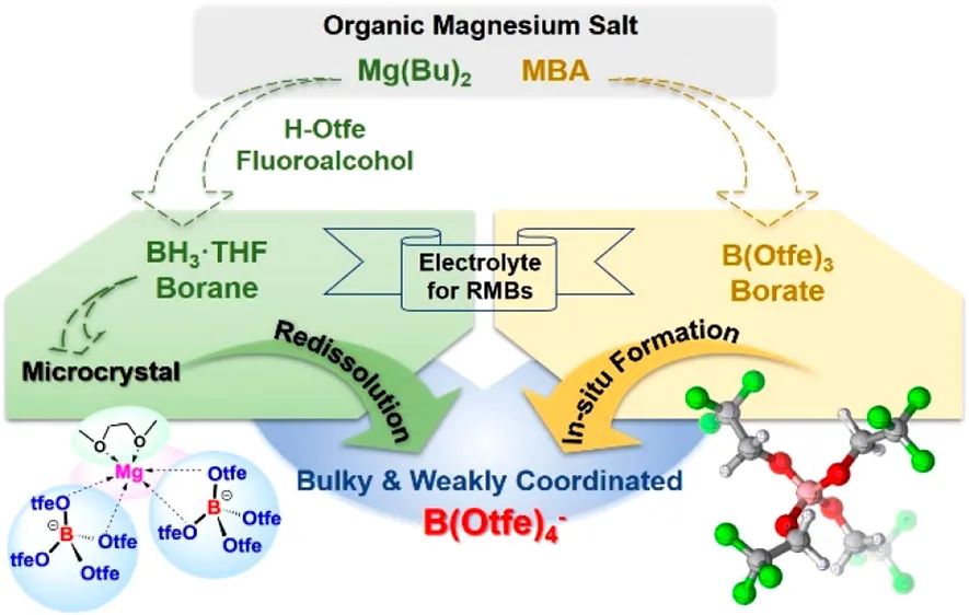 上交努麗燕娜ACS Energy Lett.：一種用于鎂電池的新型Mg[B(Otfe)4]2鎂鹽