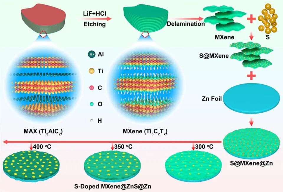 山大馮金奎ACS Nano: 摻硫3D MXene/ZnS異質(zhì)結(jié)作為無枝晶鋅離子電池保護(hù)層