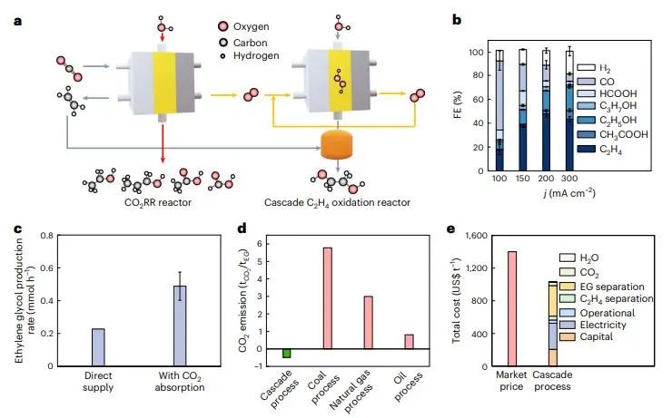 汪磊Nature Catalysis：構(gòu)建級聯(lián)催化過程，實(shí)現(xiàn)選擇性高速乙二醇生產(chǎn)