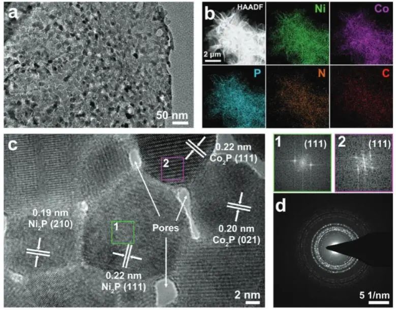 AFM：空間受限拓?fù)滢D(zhuǎn)換策略立大功，構(gòu)建Ni2P-Co2P異質(zhì)結(jié)構(gòu)實現(xiàn)高效尿素電解