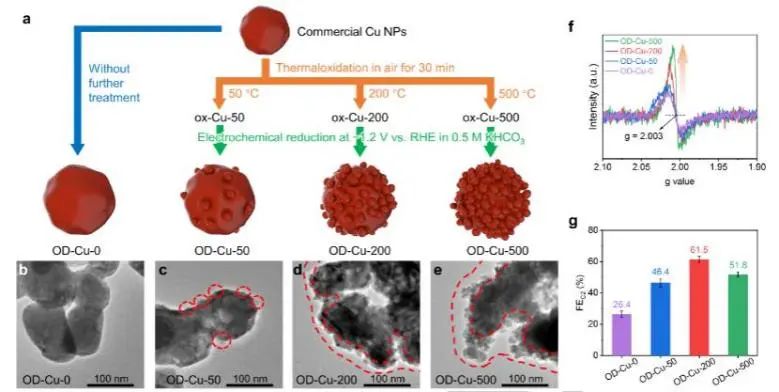 催化頂刊集錦：Nature子刊、JACS、Angew.、AFM、Nano Letters、ACS Catal.等成果