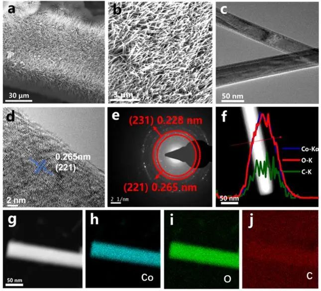 催化頂刊集錦：Nature子刊、JACS、Angew.、AFM、Nano Letters、ACS Catal.等成果