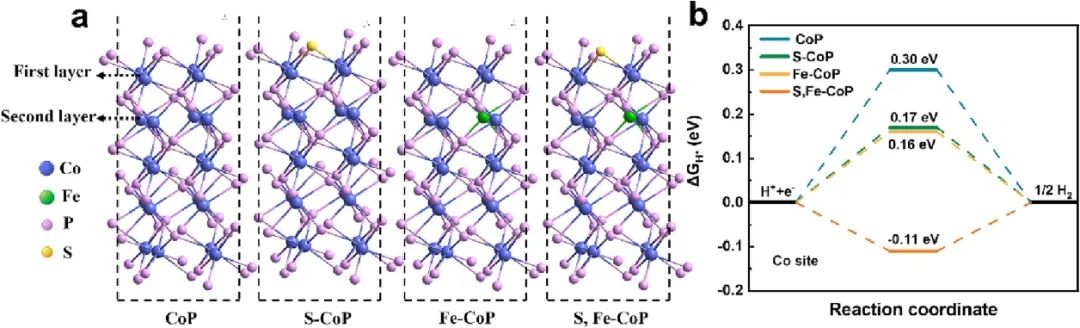 柴永明/董斌Chem. Eng. J.：S，F(xiàn)e雙摻雜和精確調(diào)控CoP實(shí)現(xiàn)高效析氫