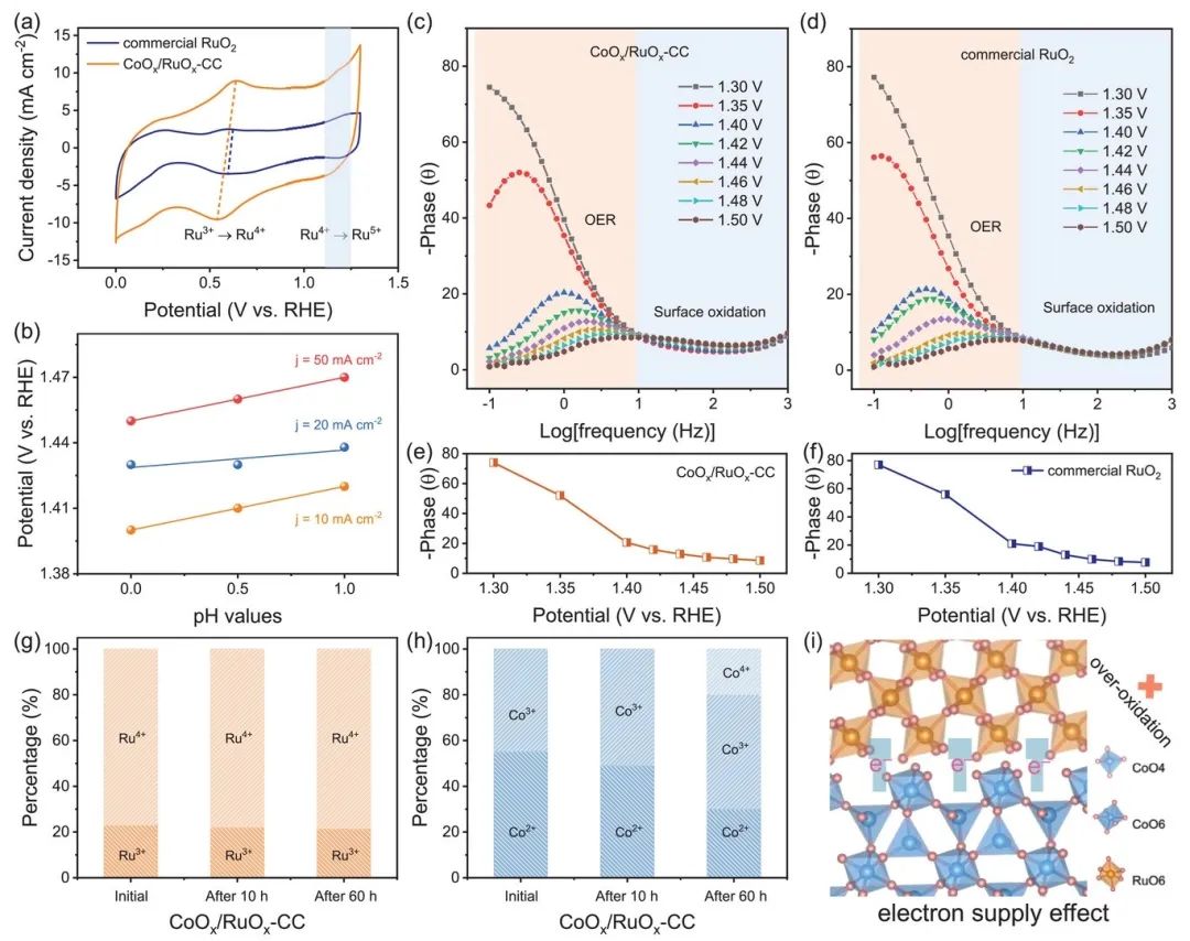 八篇催化頂刊：AM、AFM、EES、ACS Nano、Small、Appl. Catal. B等成果