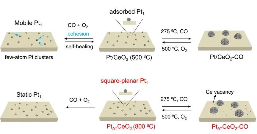 ?王勇Nature子刊：CeO2上Pt1記憶決定動(dòng)力學(xué)，助力CO氧化