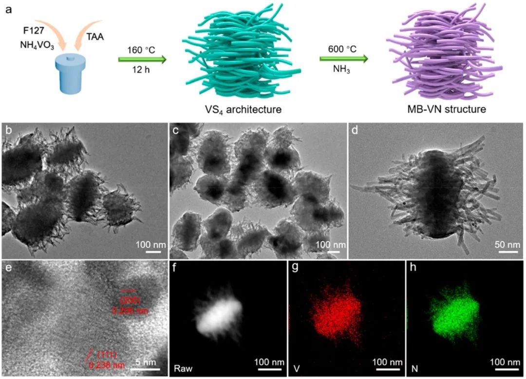 ACS Nano：-20℃至60℃寬溫鋰硫電池！