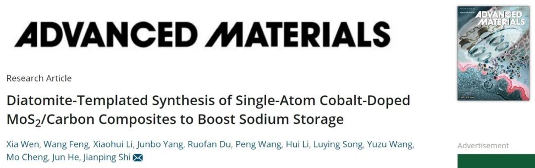 武漢大學史建平AM：硅藻土模板合成單原子鈷摻雜MoS2/碳，實現(xiàn)高性能儲鈉