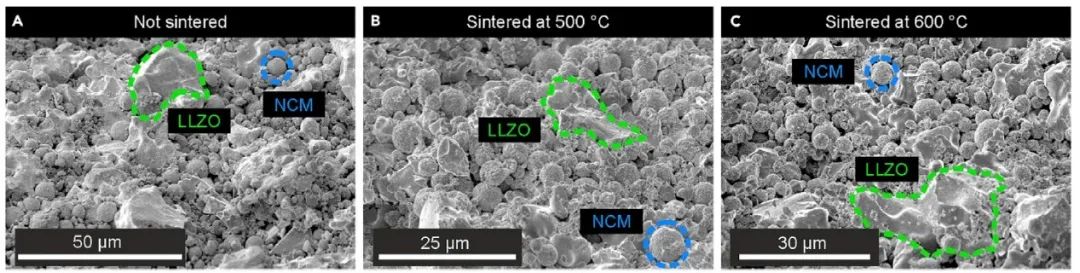 ?Matter：通過TEM洞察燒結(jié)溫度對LLZO-NCM復(fù)合正極的影響