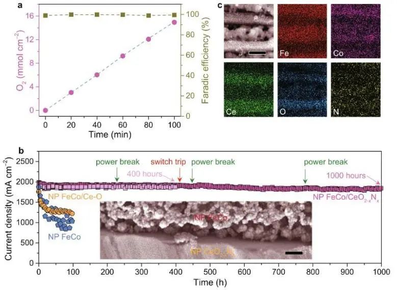 催化頂刊集錦：Nature子刊、JACS、AFM、ACS Catalysis、Nano Energy等